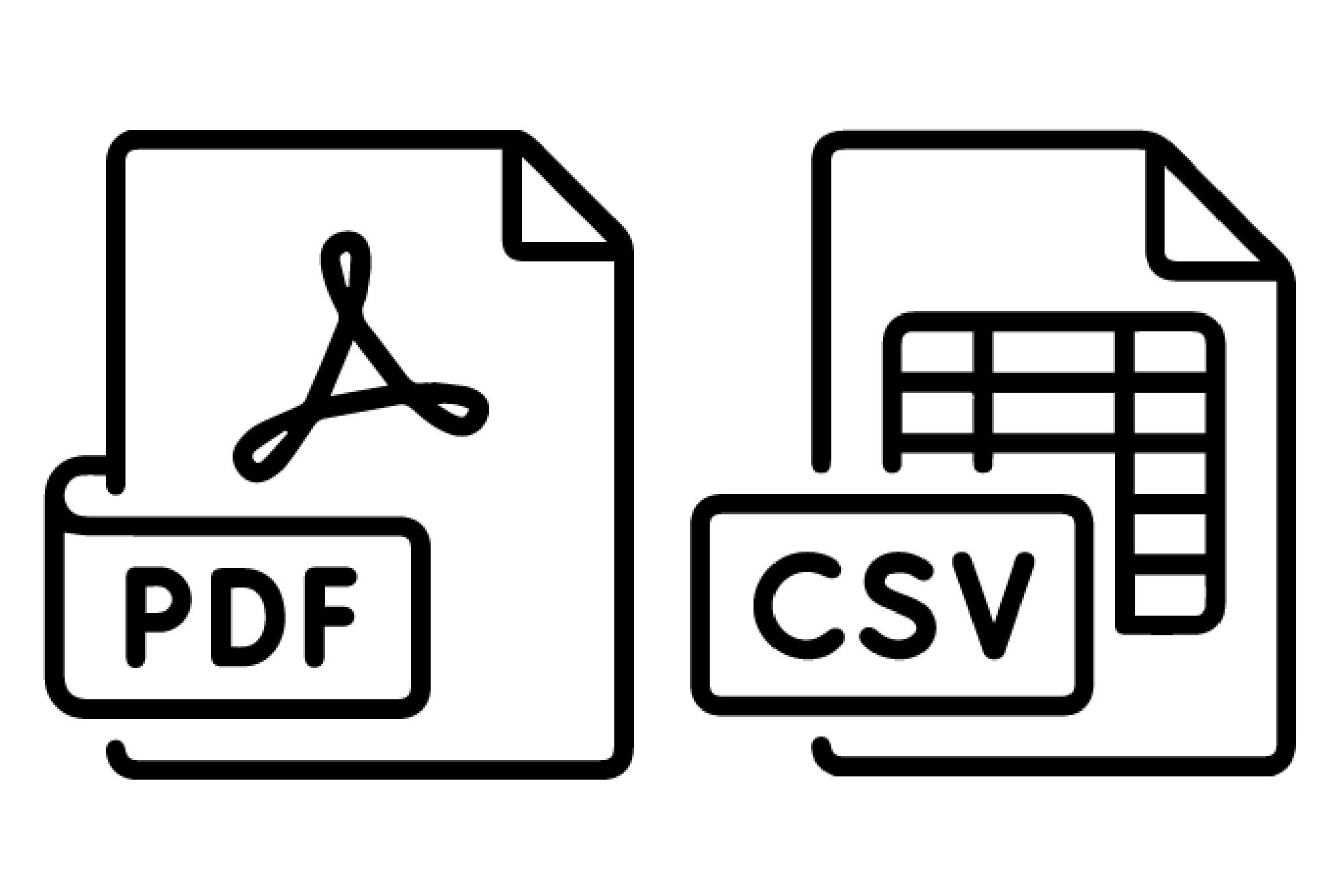 Icons for PDF and CSV files on a white background